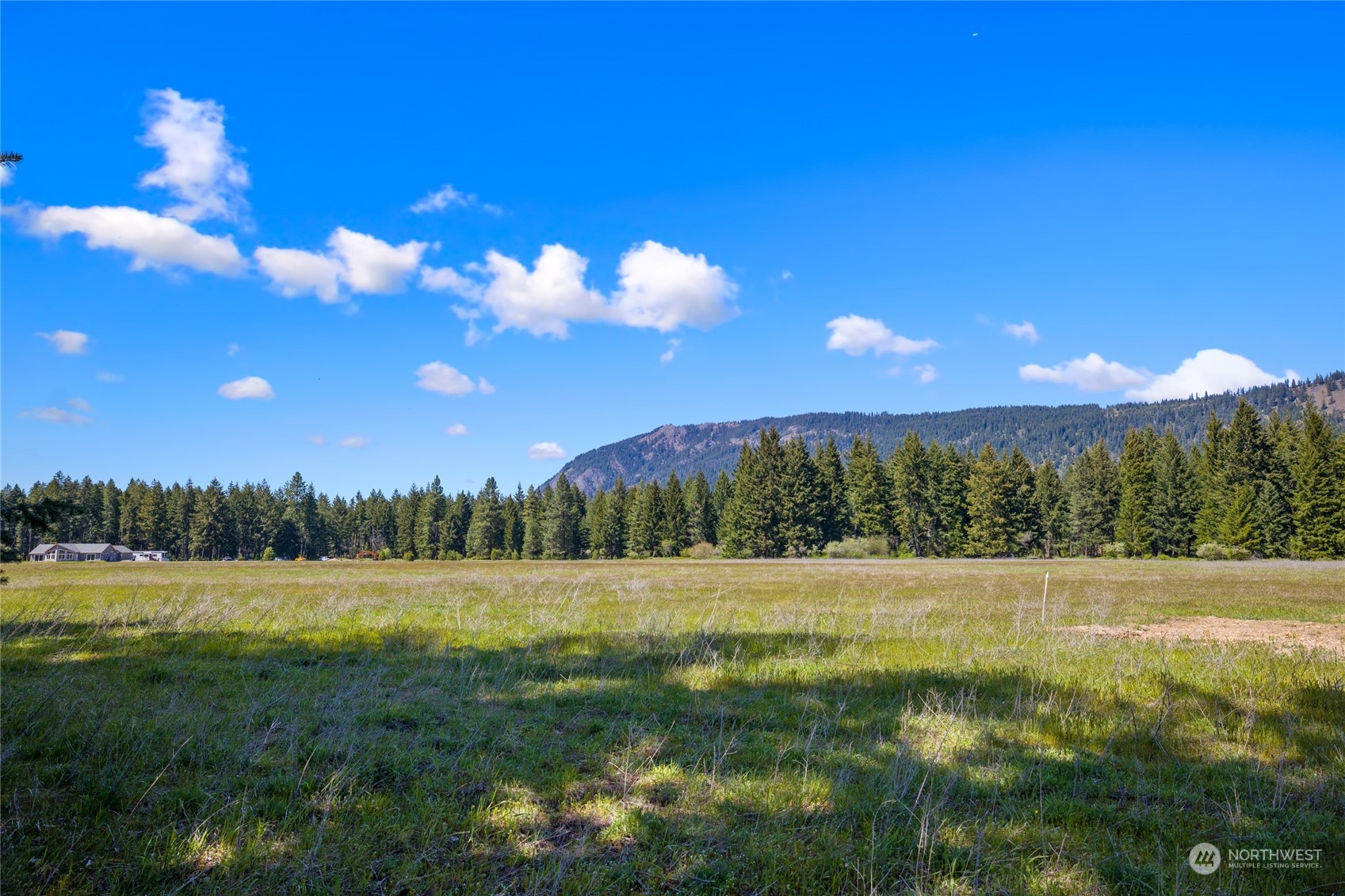 4 Darling Way Cle Elum, WA 98922 - Photo 22 of 31 a view of grassy field with trees