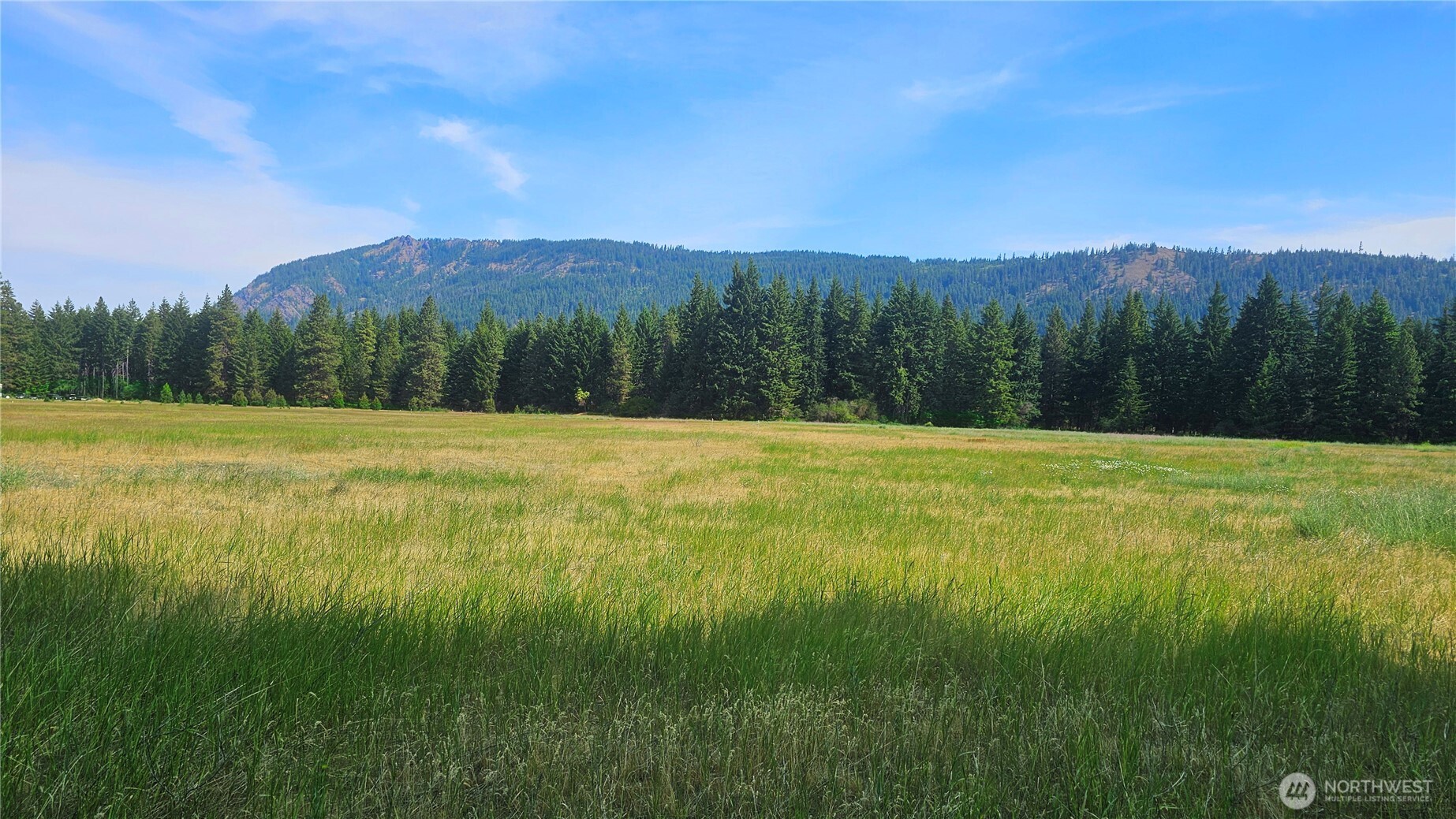4 Darling Way Cle Elum, WA 98922 - Photo 26 of 31 a view of a grassy field with mountains in the background