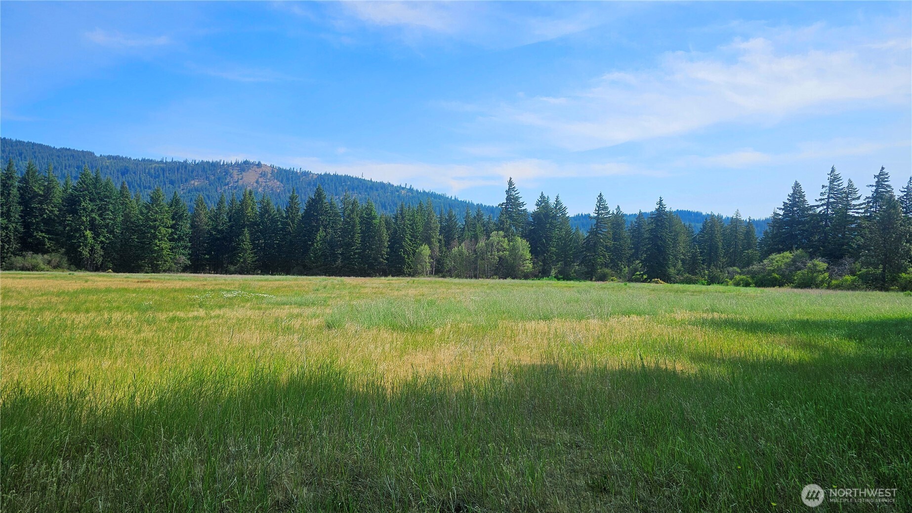 4 Darling Way Cle Elum, WA 98922 - Photo 28 of 31 a view of a grassy field