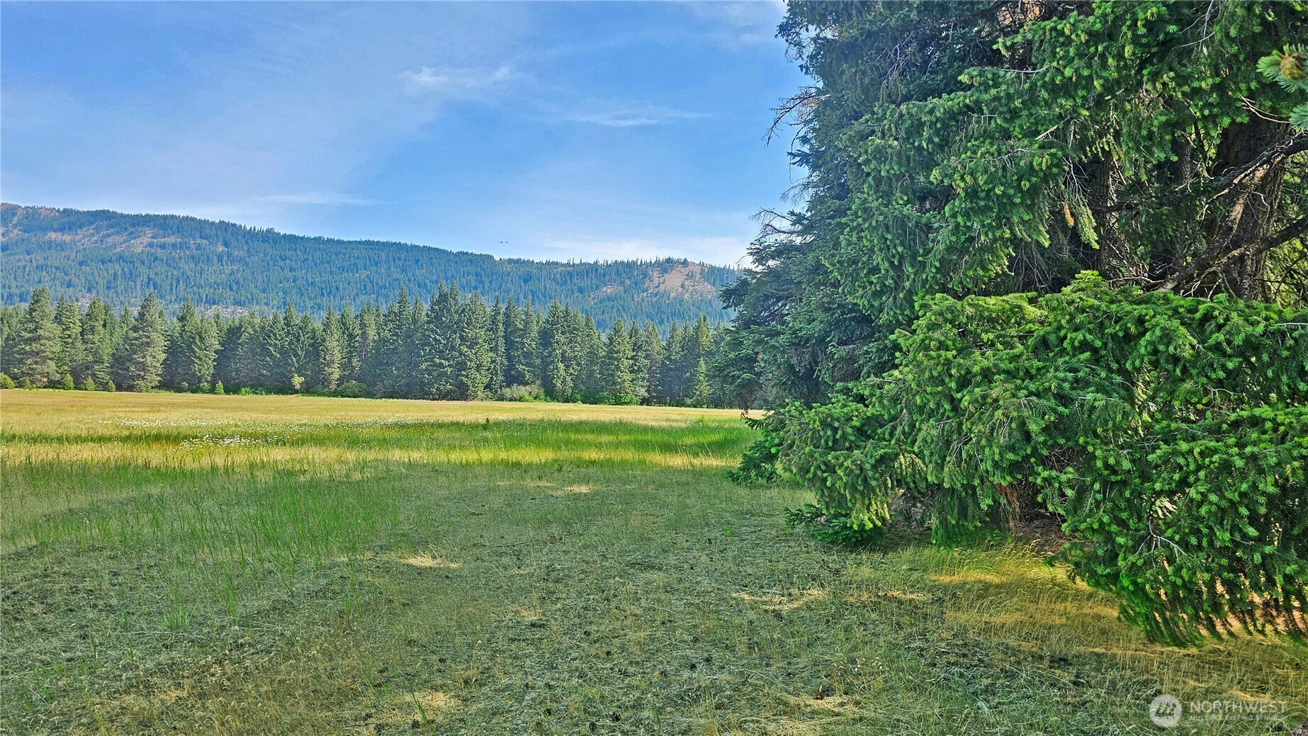 4 Darling Way Cle Elum, WA 98922 - Photo 29 of 31 a view of outdoor space with mountain view