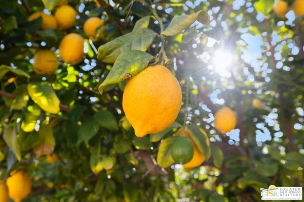 a living room with furniture fireplace and a flat screen tv