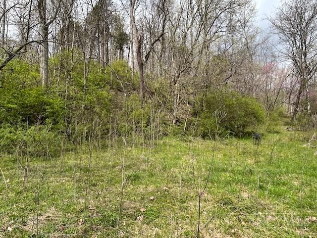 619 Felicity Cedron Rural Road Felicity, OH 45120 - Photo 11 of 15