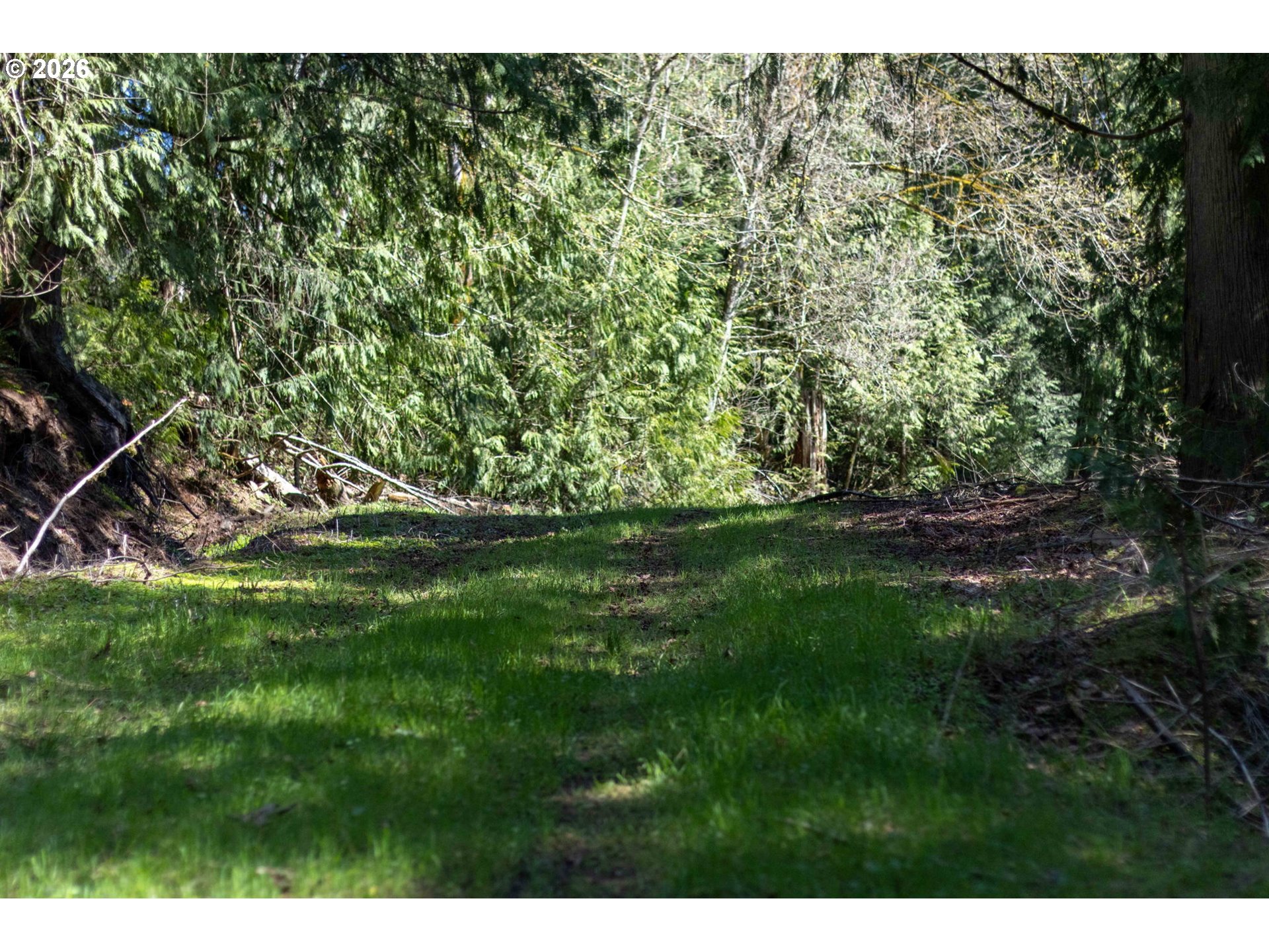 South Ringo Road Mulino, OR 97042 - Photo 35 of 47 Acreage