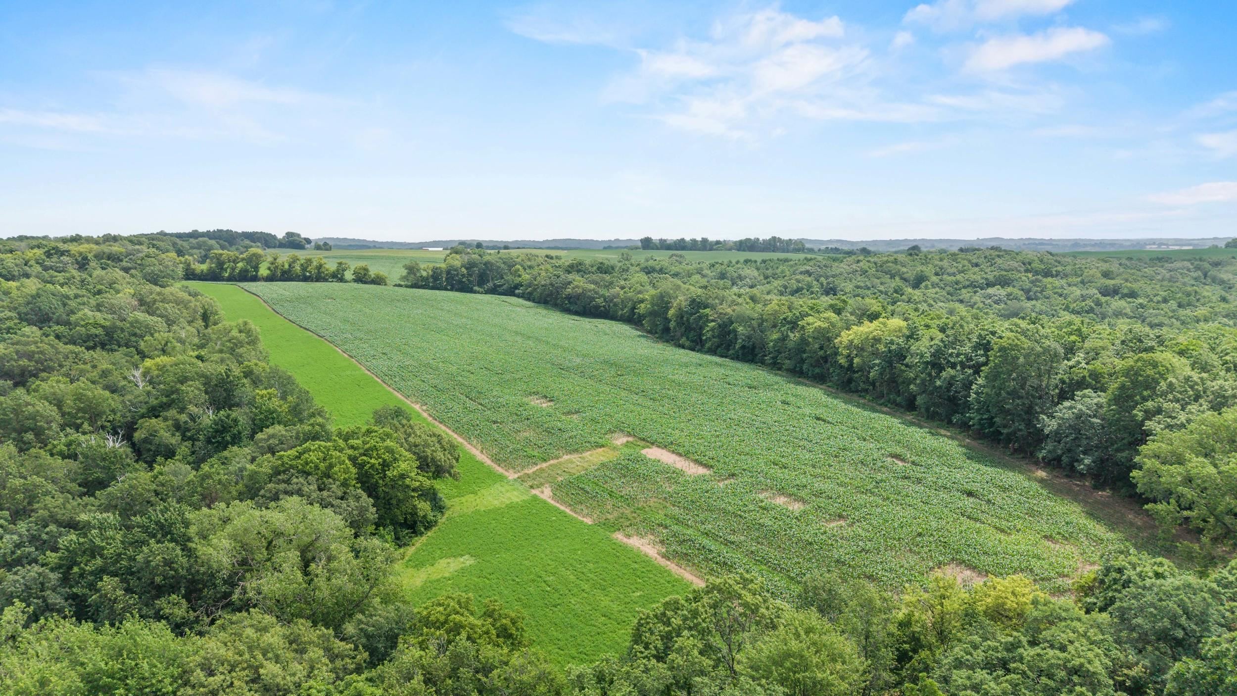 146-acres Otto Kerl Road Cross Plains, WI 53528 - Photo 10 of 20