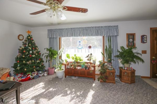 17960 5 Mile Road Morley, MI 49336 - Photo 14 of 21 Additional Photo