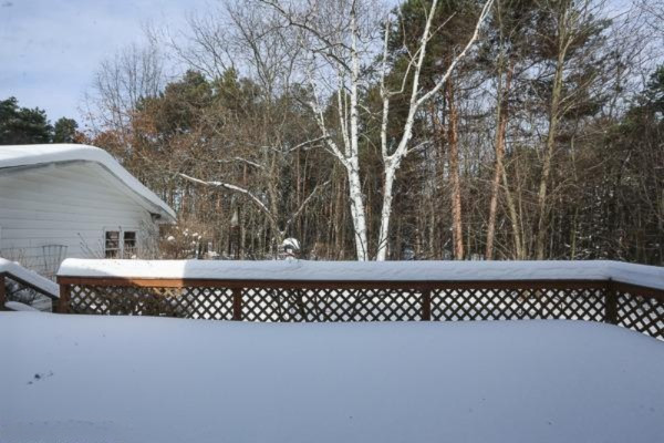17960 5 Mile Road Morley, MI 49336 - Photo 4 of 21 Additional Photo