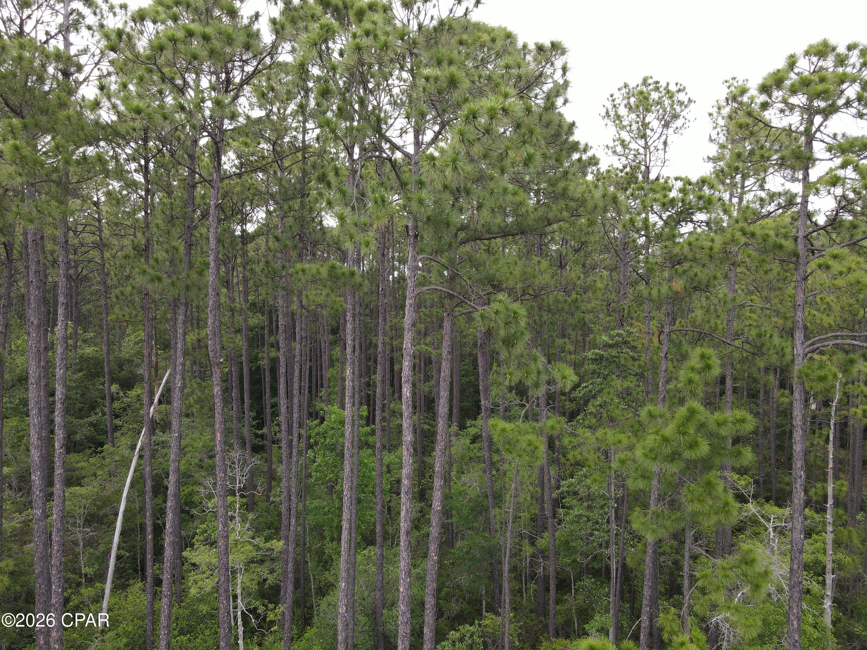 331 South Freeport Freeport, FL 32439 - Photo 9 of 9
