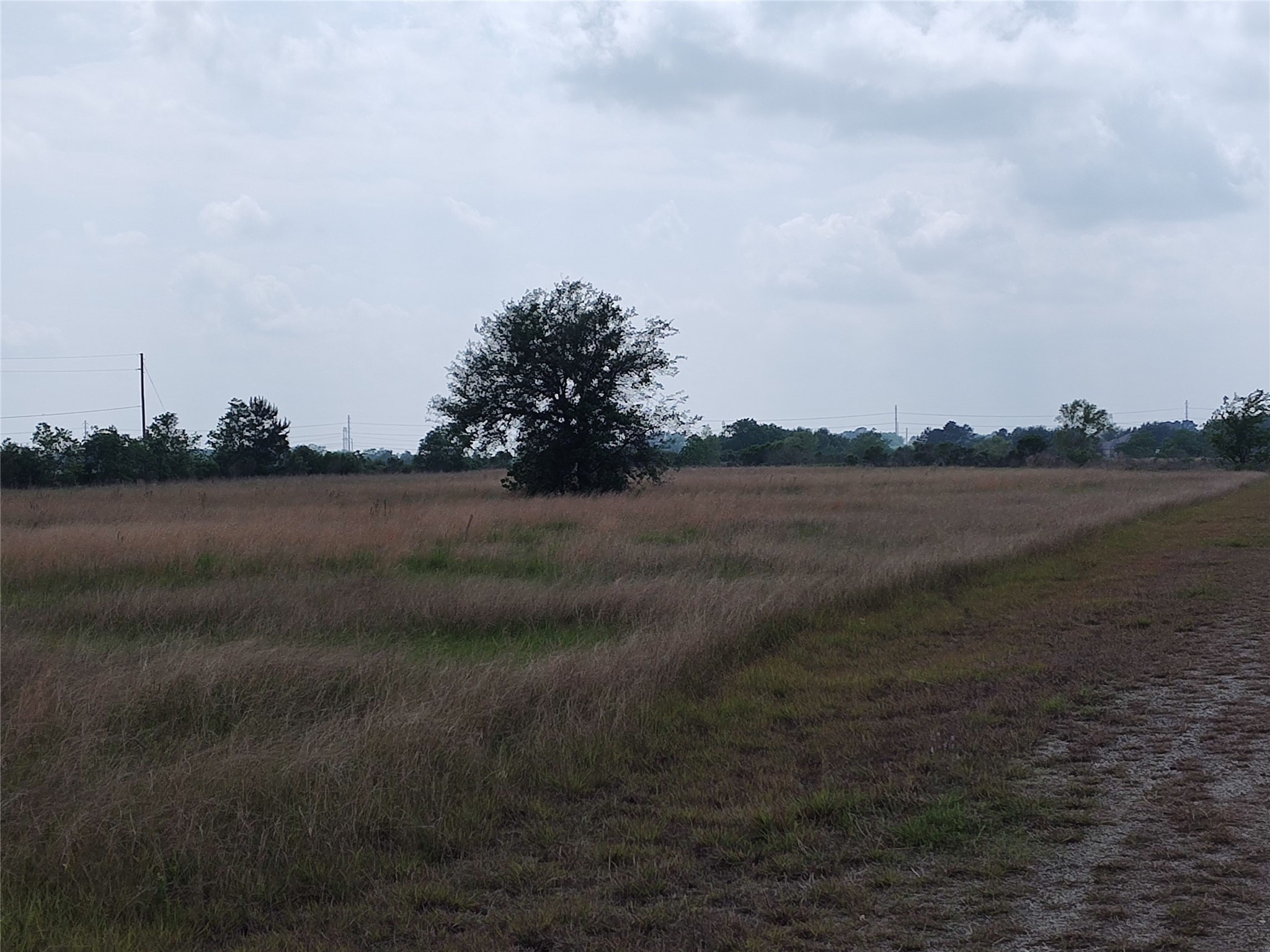 19709 Becker Road Hockley, TX 77447 - Photo 3 of 7