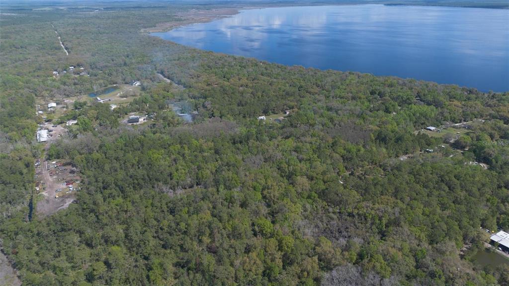 Jungle Road Geneva, FL 32732 - Photo 13 of 21