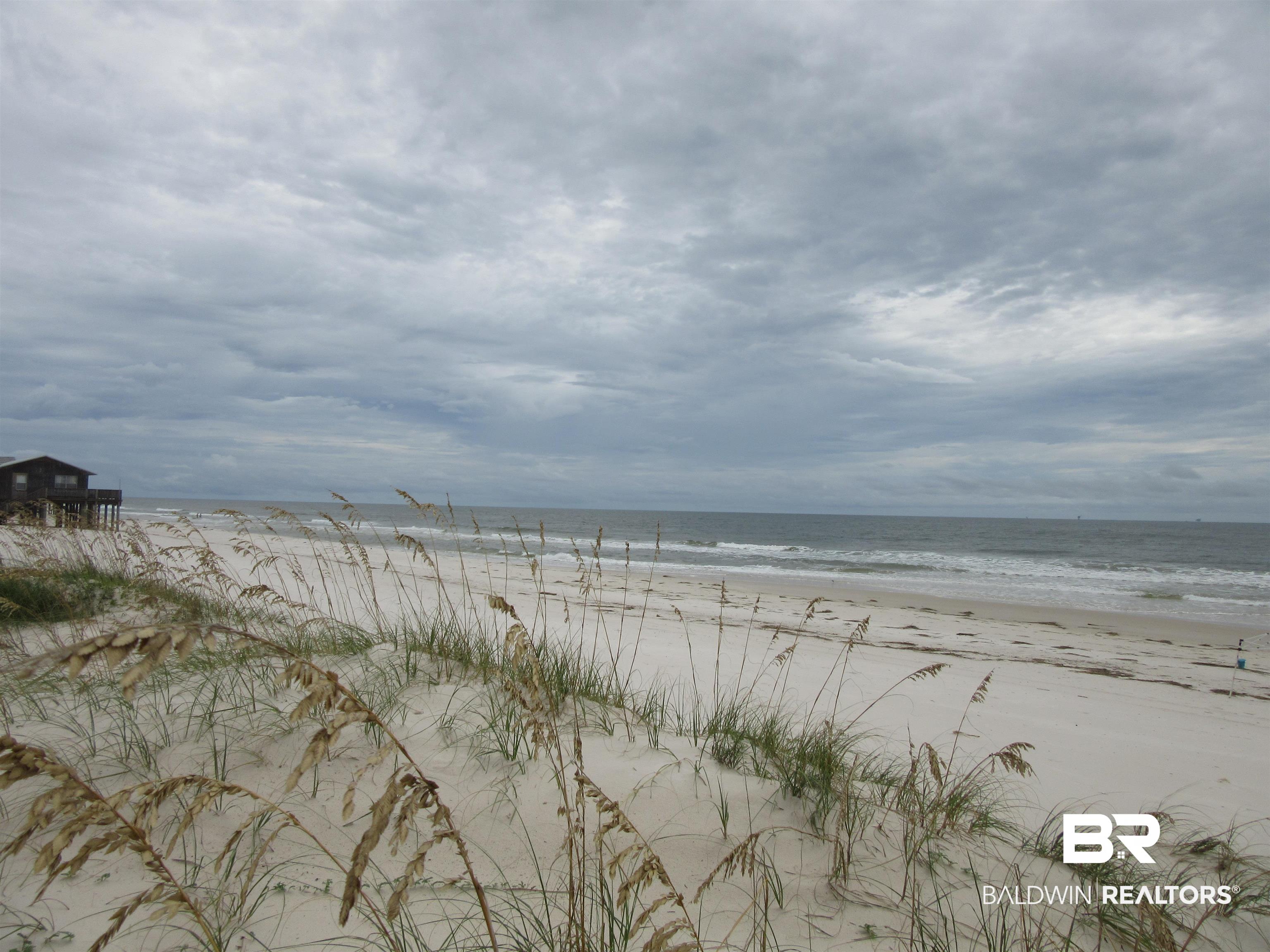 Beach Boulevard Gulf Shores, AL 36542 - Photo 9 of 14 Dune and Sea Oats