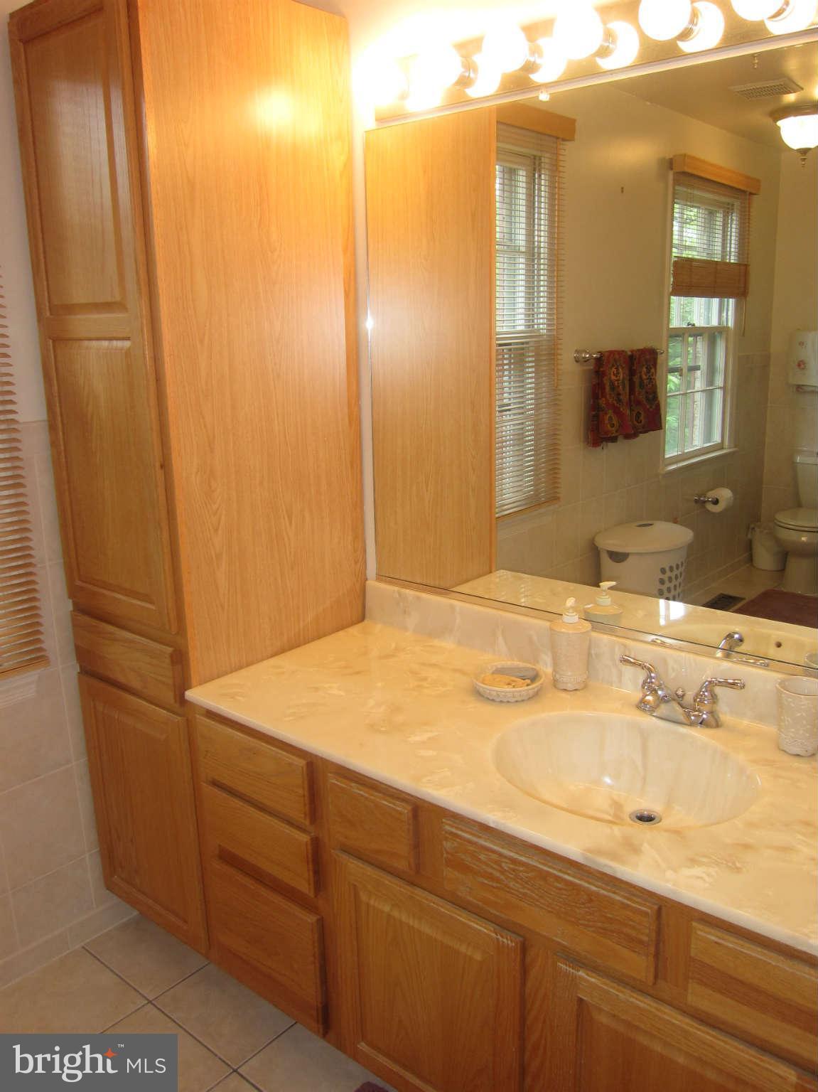 709 Bonifant Road Silver Spring, MD 20905 - Photo 18 of 29 Master bath with ceramic tile, decorative tile