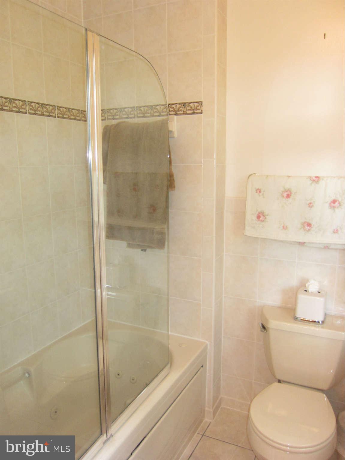 709 Bonifant Road Silver Spring, MD 20905 - Photo 19 of 29 Master tub and shower with updated door