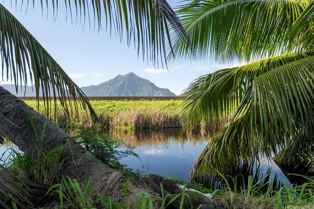 a car parked in front of a house with a yard