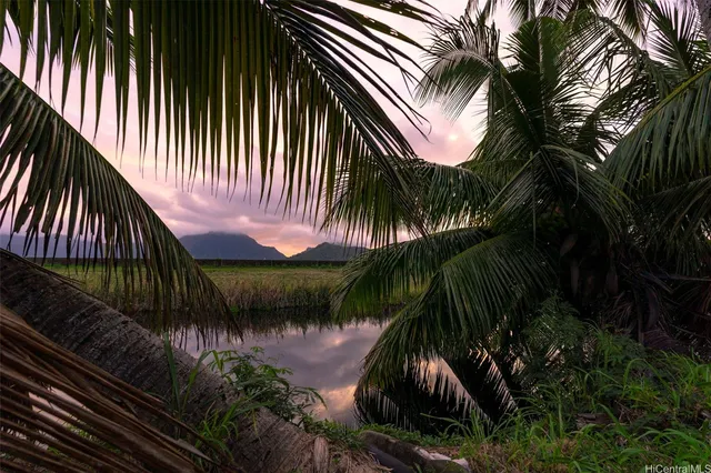 a view of a patio with table and chairs and potted plants with wooden fence