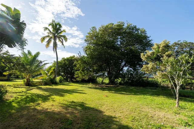 a view of a big yard with swimming pool and green space