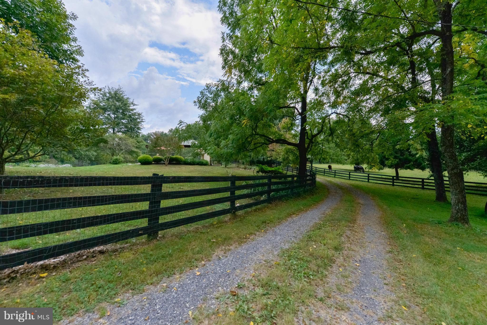 11529 Putnams Mill Road Hume, VA 22639 - Photo 16 of 30 Exterior (General)