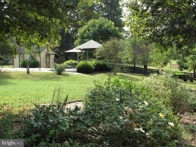 11529 Putnams Mill Road Hume, VA 22639 - Photo 21 of 30 Exterior (General)