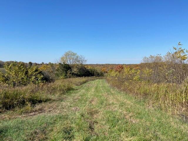 5420 Central Ridge Road Mount Olivet, KY 41064 - Photo 8 of 13