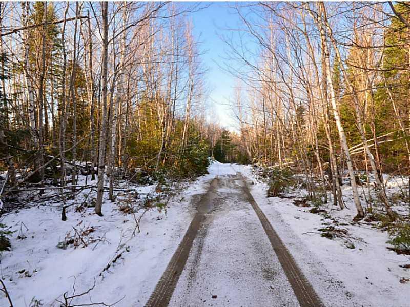 700 Hale Farm Road Lee, ME 04455 - Photo 1 of 22 Land/Lot.