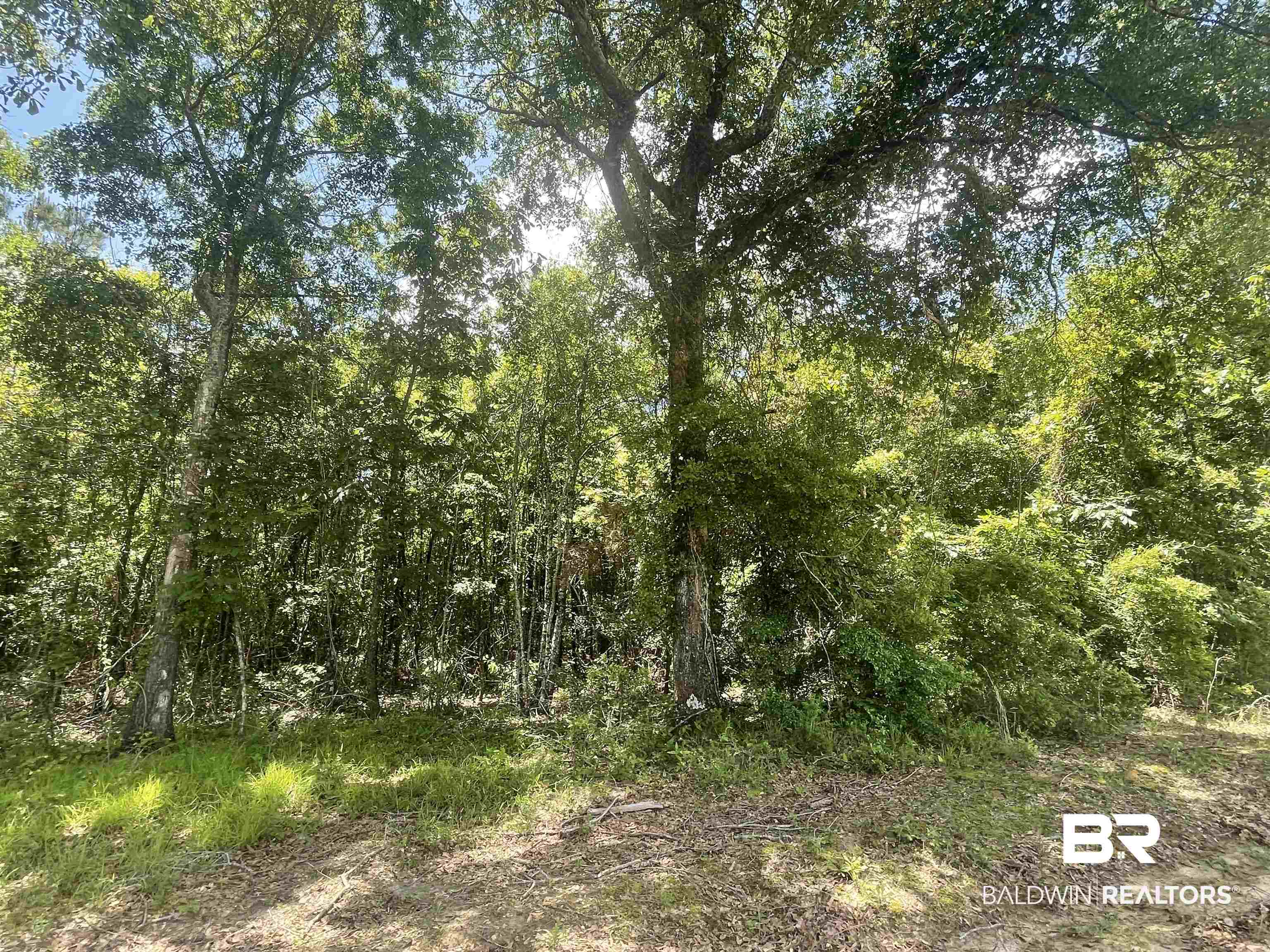 O Halls Crossroads Road Monroeville, AL 36460 - Photo 1 of 10