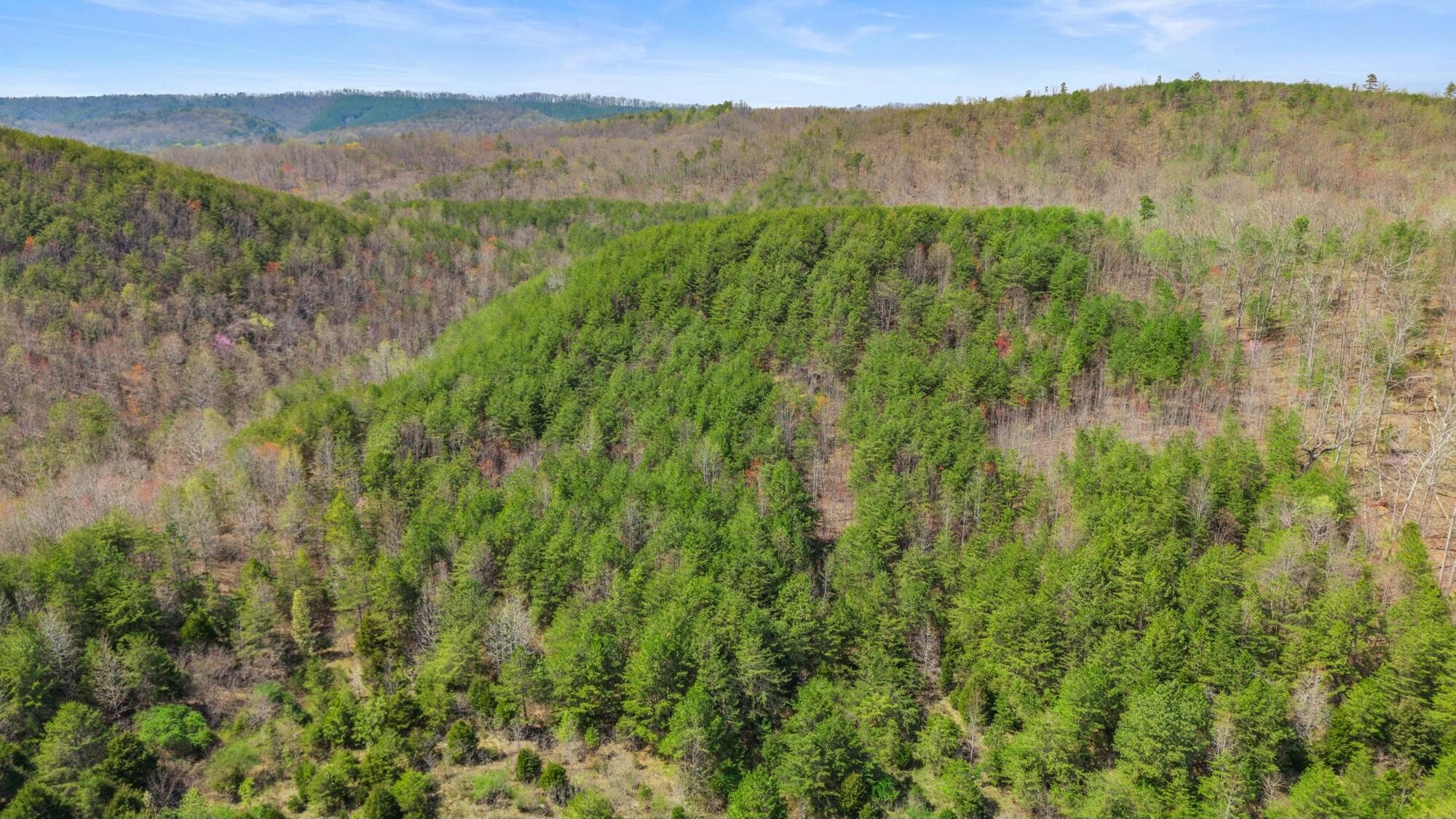0 Harrison Pike Southwest McDonald, TN 37353 - Photo 15 of 26