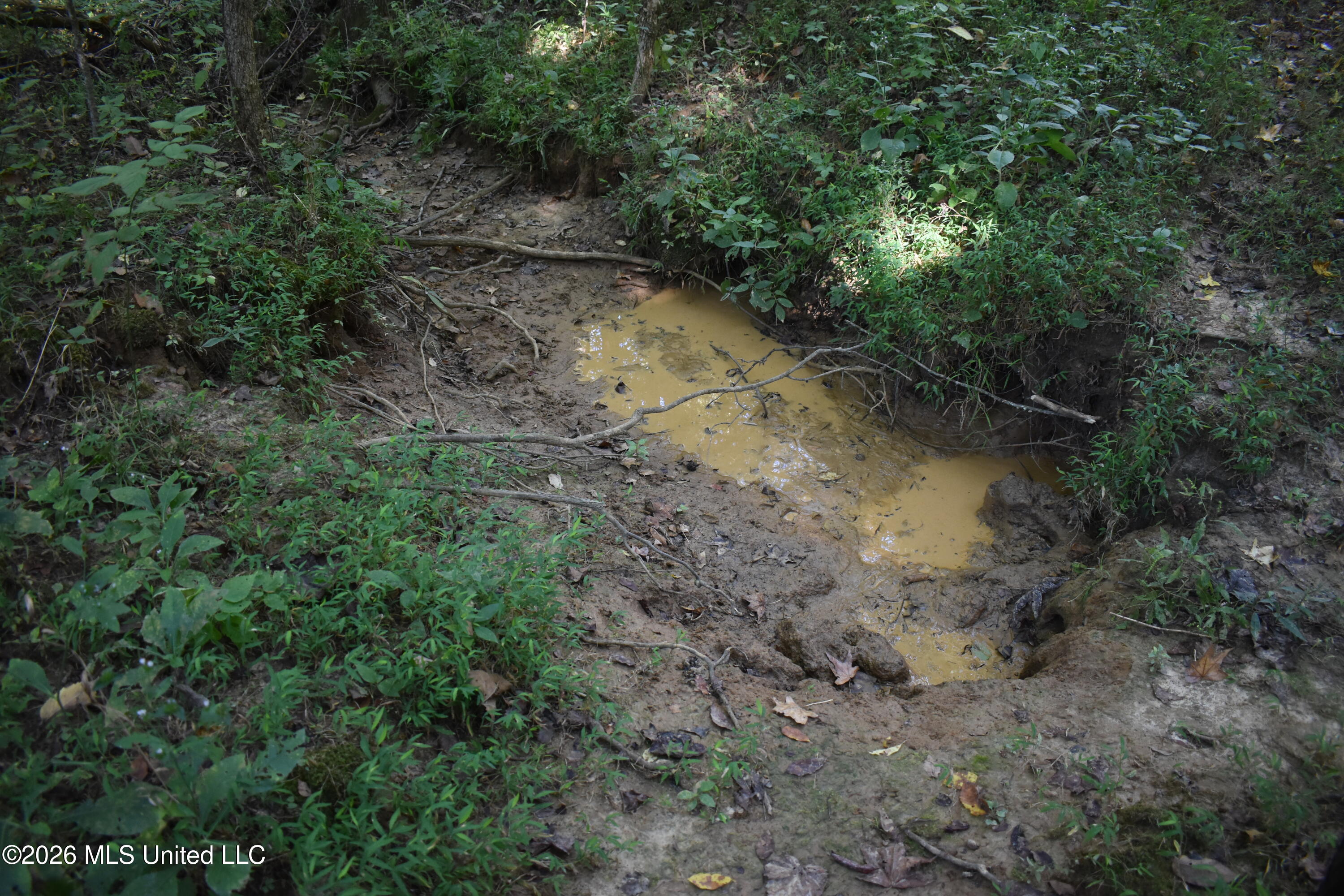 390 Old Panola Road Como, MS 38619 - Photo 57 of 71 DSC_0177