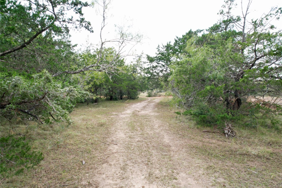Tbd Lot 17 Tbd Road Flatonia, TX 78941 - Photo 5 of 7 View of dirt / gravel road with a forest view