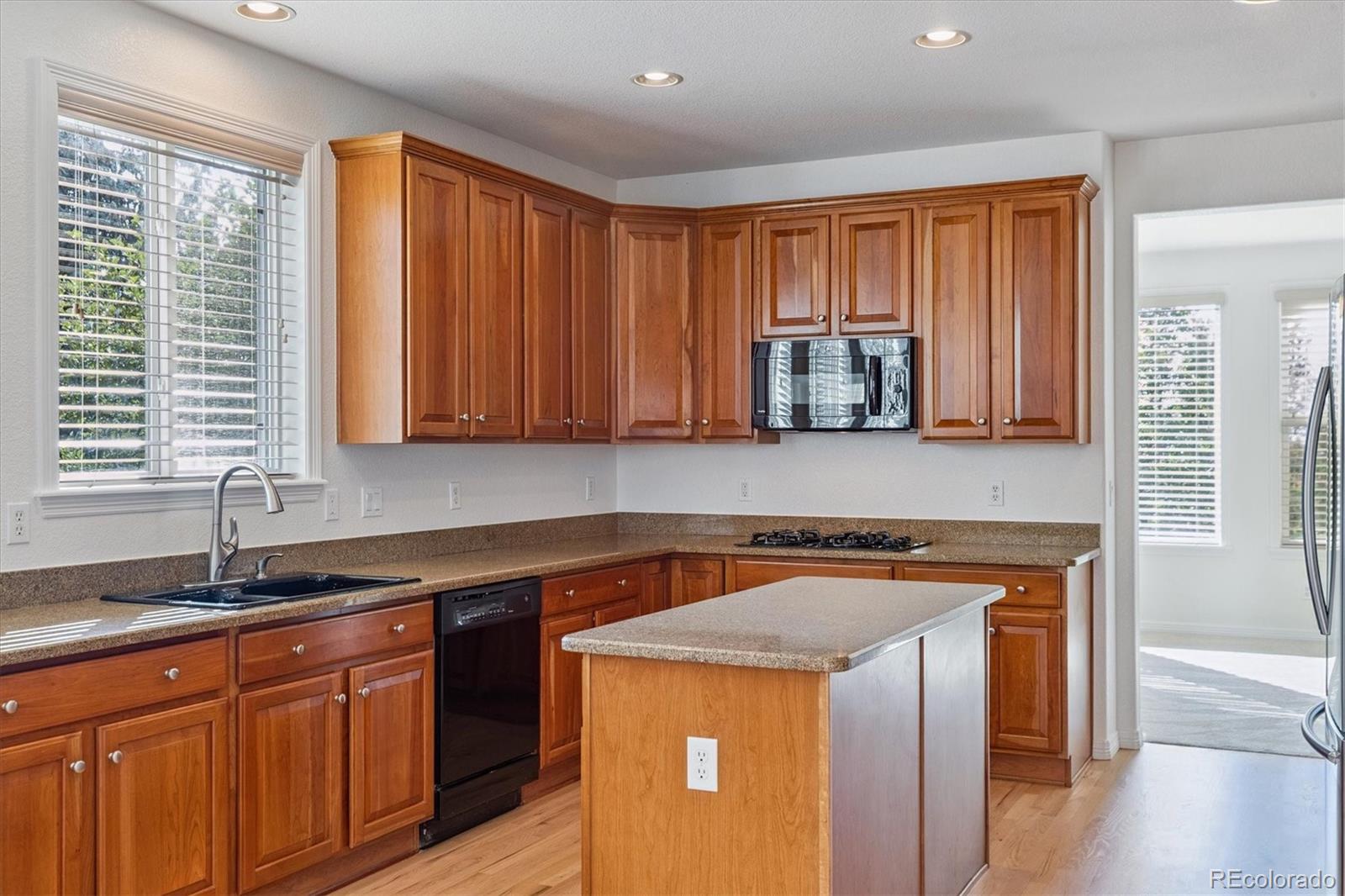 760 Ridgemont Circle Highlands Ranch, CO 80126 - Photo 12 of 32