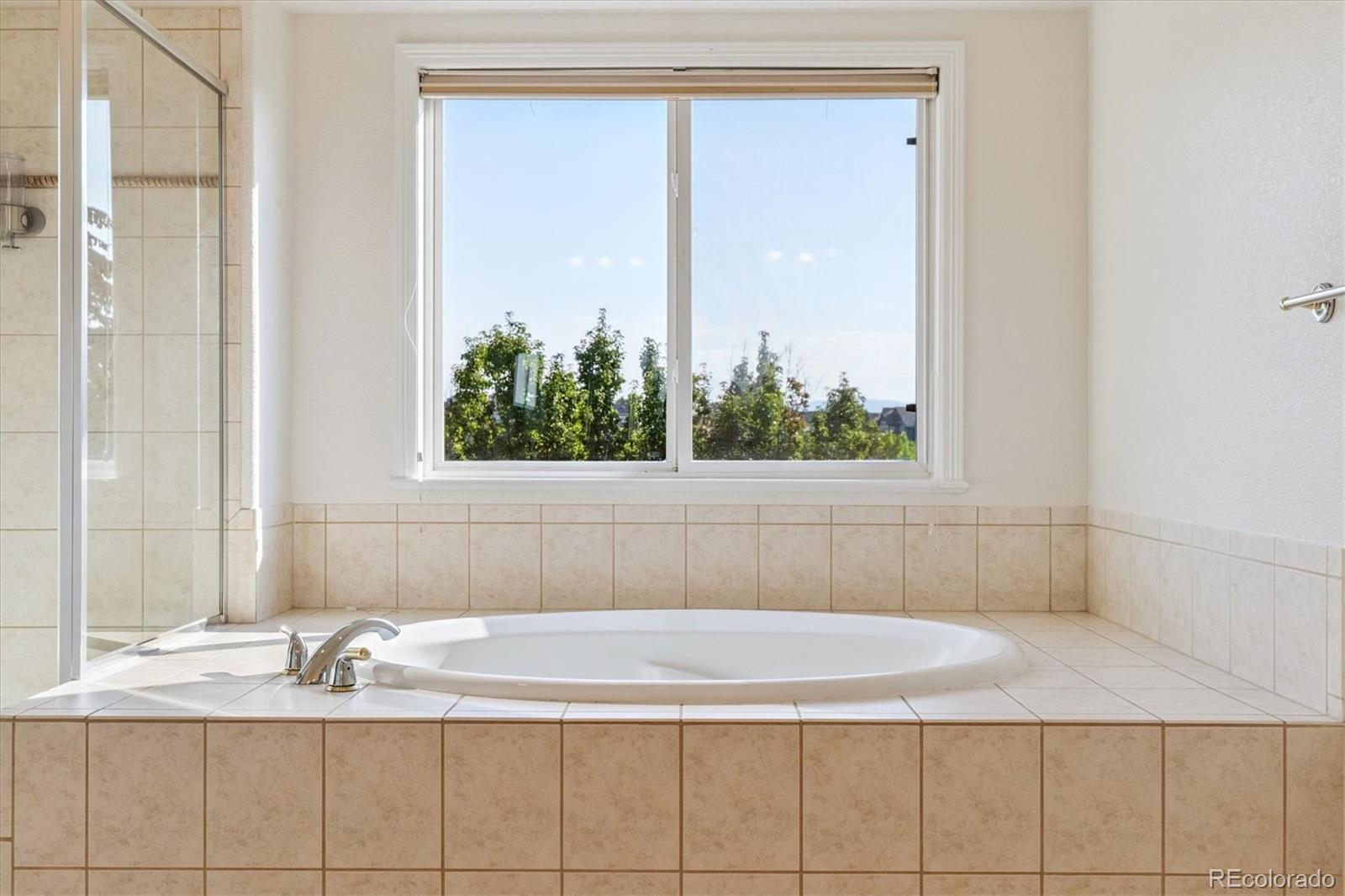 760 Ridgemont Circle Highlands Ranch, CO 80126 - Photo 23 of 32