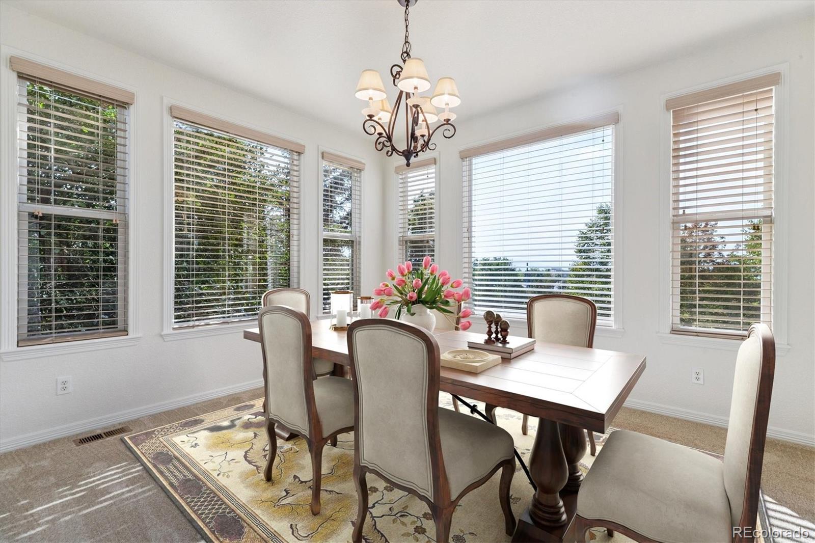 760 Ridgemont Circle Highlands Ranch, CO 80126 - Photo 3 of 32