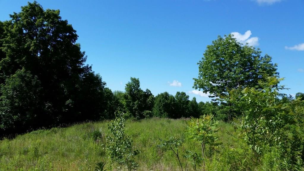 278 Mosher Hill Road Farmington, ME 04938 - Photo 5 of 13 Photo