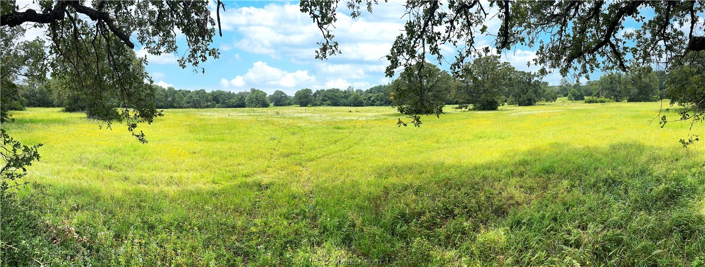 6205 West Boone Prairie Road Franklin, TX 77856 - Photo 1 of 1 Gallery Image 1