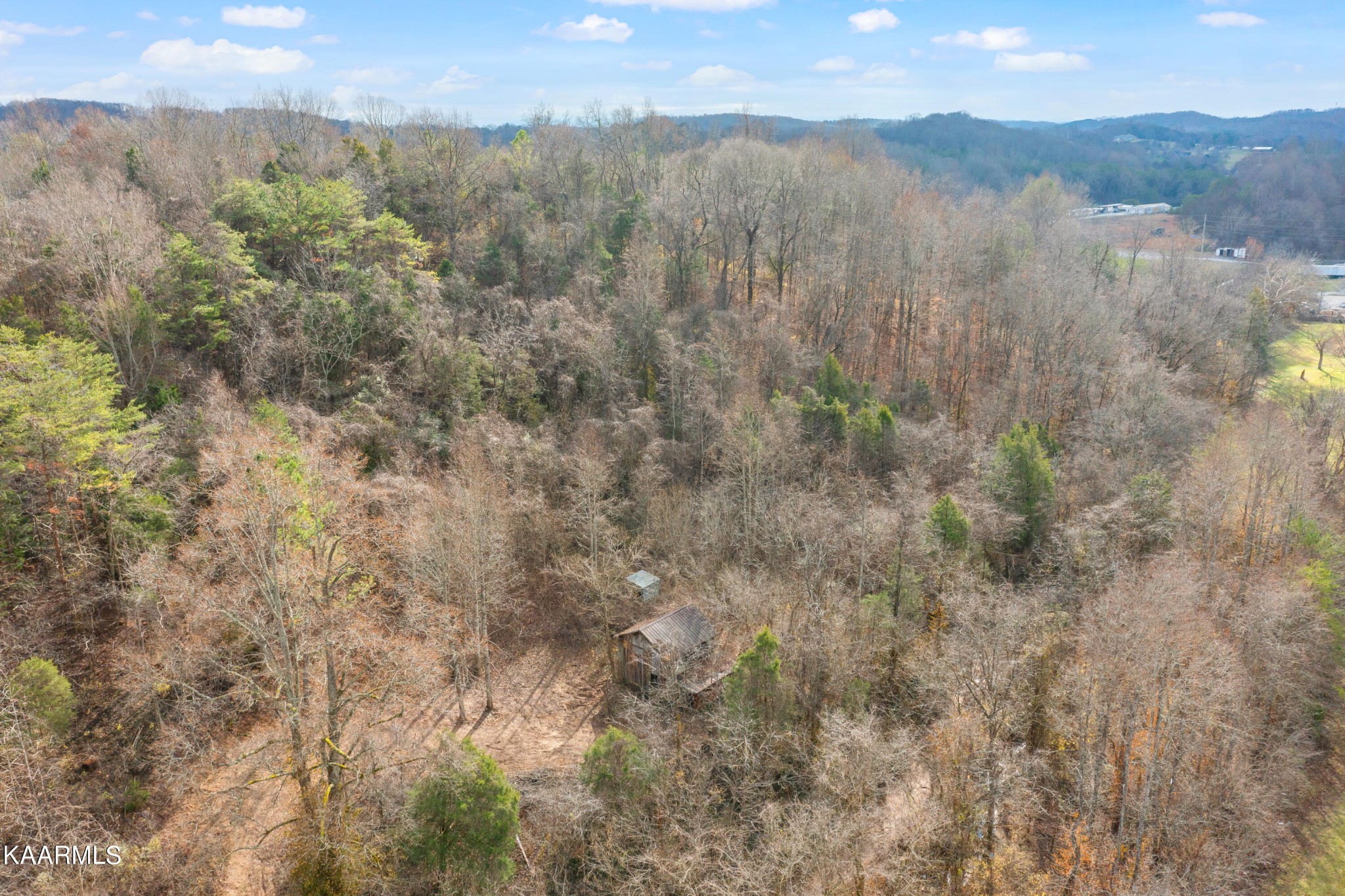 10604 Rutledge Pike Corryton, TN 37721 - Photo 3 of 19 a view of mountain view with lots of trees