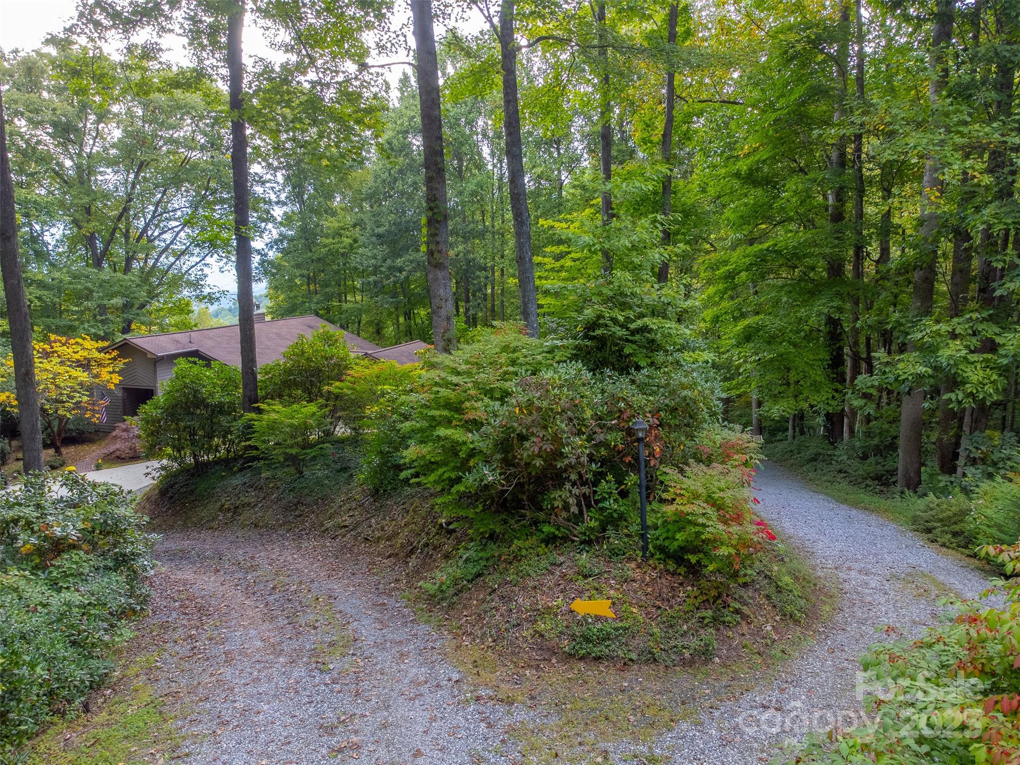 831 Forest Run Road Whittier, NC 28789 - Photo 24 of 29 a view of a park with large trees