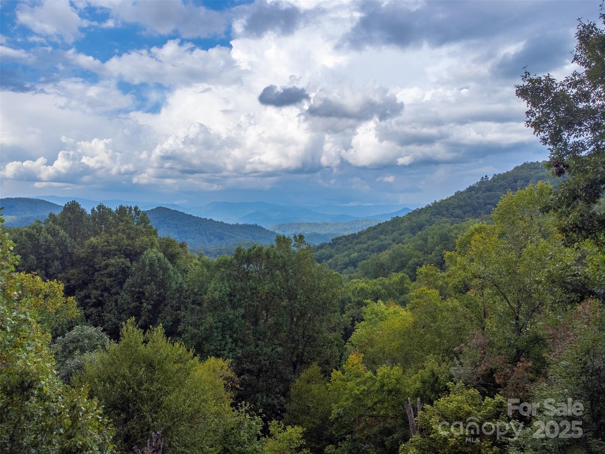 831 Forest Run Road Whittier, NC 28789 - Photo 3 of 29 a view of a bunch of trees