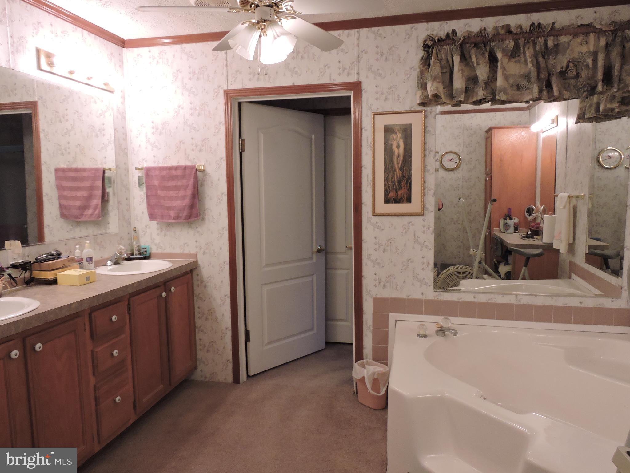 36340 Columbia Road Delmar, DE 19940 - Photo 26 of 40 Owners Full bath tub/stall shower 2 sinks