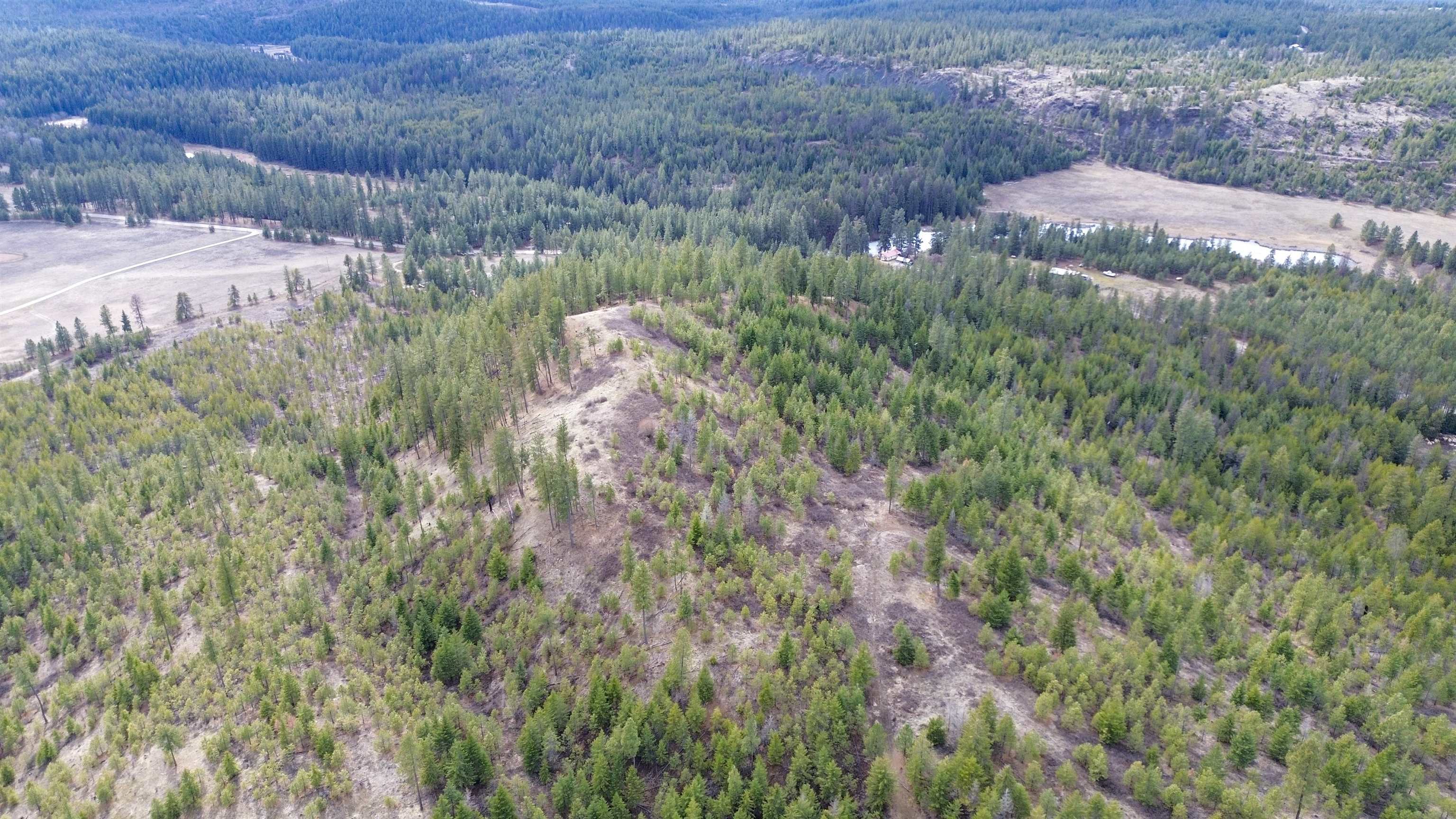 352 X Green Road Valley, WA 99181 - Photo 26 of 32