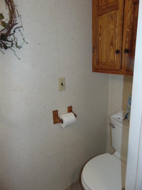 445 South Ithaca Street Ithaca, MI 48847 - Photo 40 of 83 1920553-eb4a0fef-fa64-4cb1-a95f-226dce793706.JPG