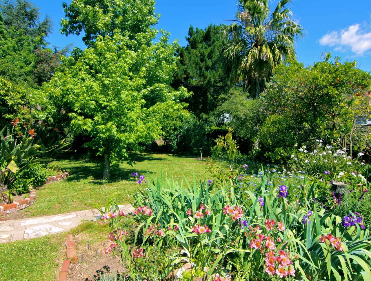 324 Arden Road Santa Barbara, CA 93105 - Photo 4 of 4 a view of a garden with plants