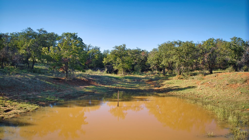 1884 Sandy Lane Road Mason, TX 76856 - Photo 12 of 20 Gallery Image 12