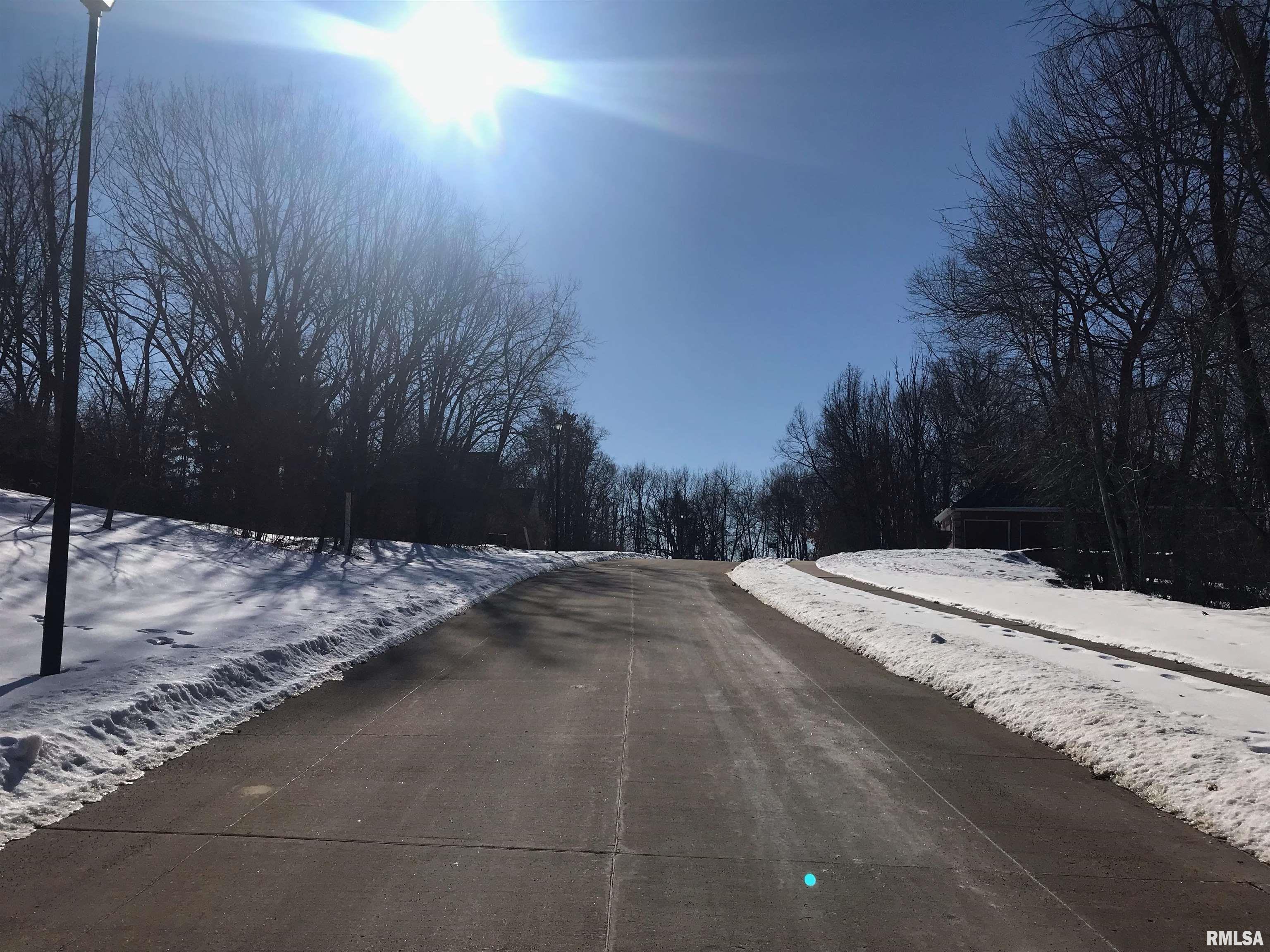 706 Foret Mansur Carbon Cliff, IL 61239 - Photo 2 of 5