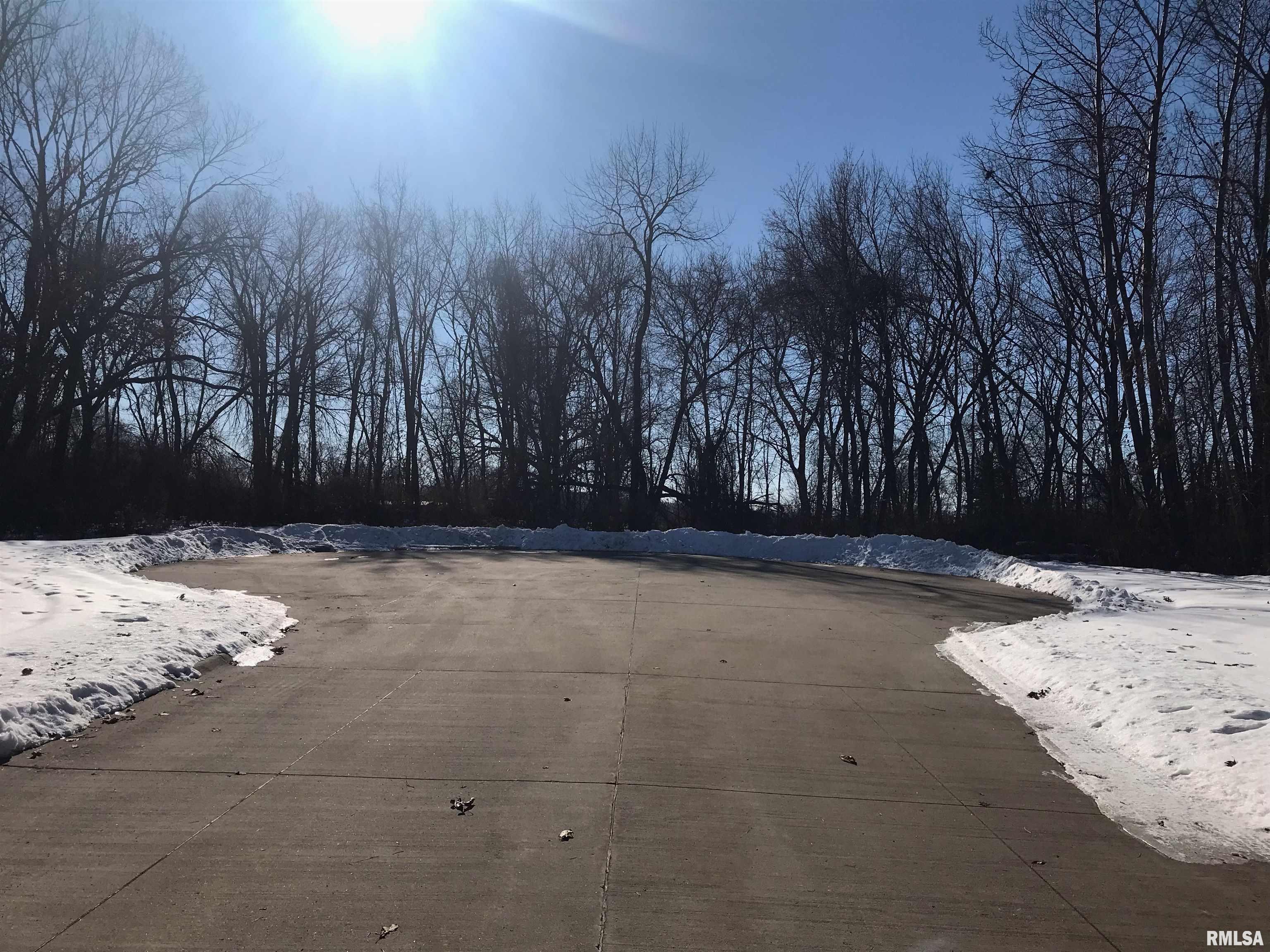 706 Foret Mansur Carbon Cliff, IL 61239 - Photo 3 of 5