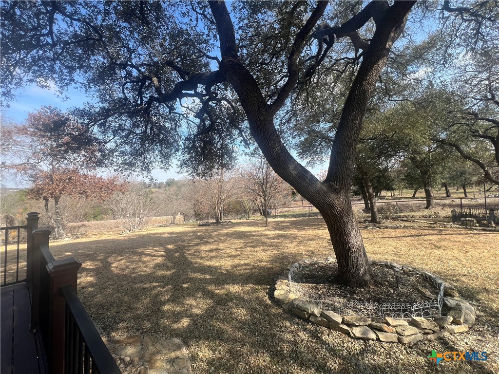 523 Messer Ranch Road Belton, TX 76513 - Photo 29 of 40 a view of a yard with large trees