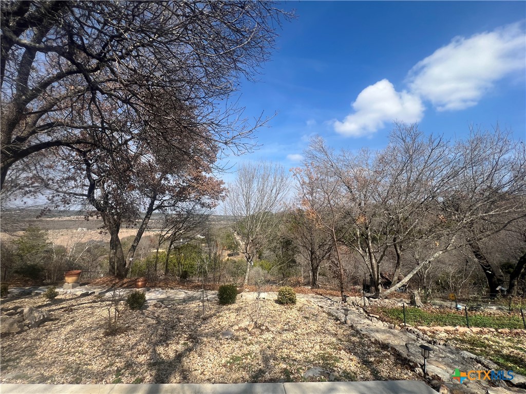 523 Messer Ranch Road Belton, TX 76513 - Photo 40 of 40 a view of a yard with a tree