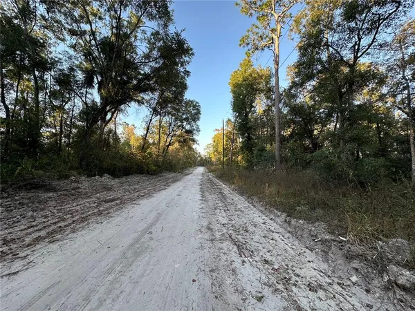 a view of a yard with a tree