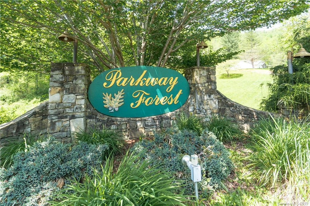 33 Forest Valley Road Sylva, NC 28779 - Photo 19 of 20 Gallery Image 19