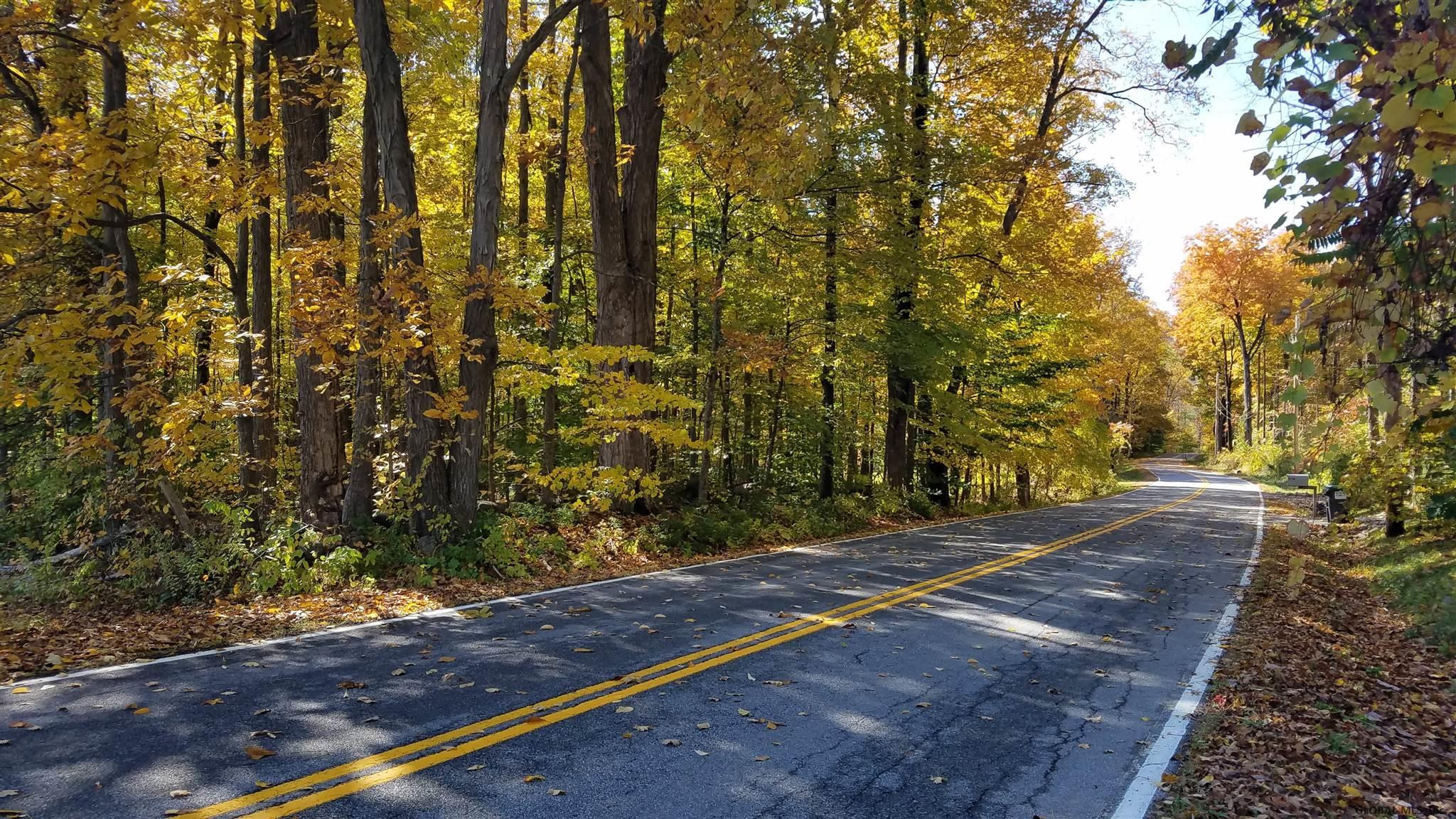 Woodard Road Wilton, NY 12831 - Photo 1 of 6 Photo 1