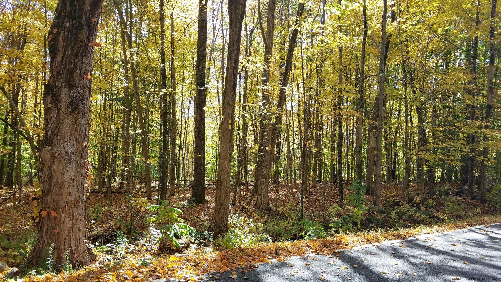 Woodard Road Wilton, NY 12831 - Photo 2 of 6 Photo 2