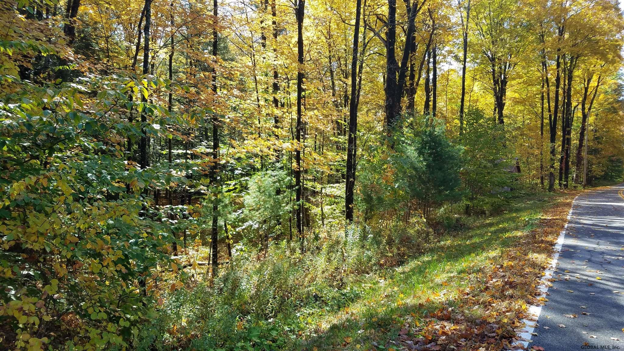 Woodard Road Wilton, NY 12831 - Photo 3 of 6 Photo 3
