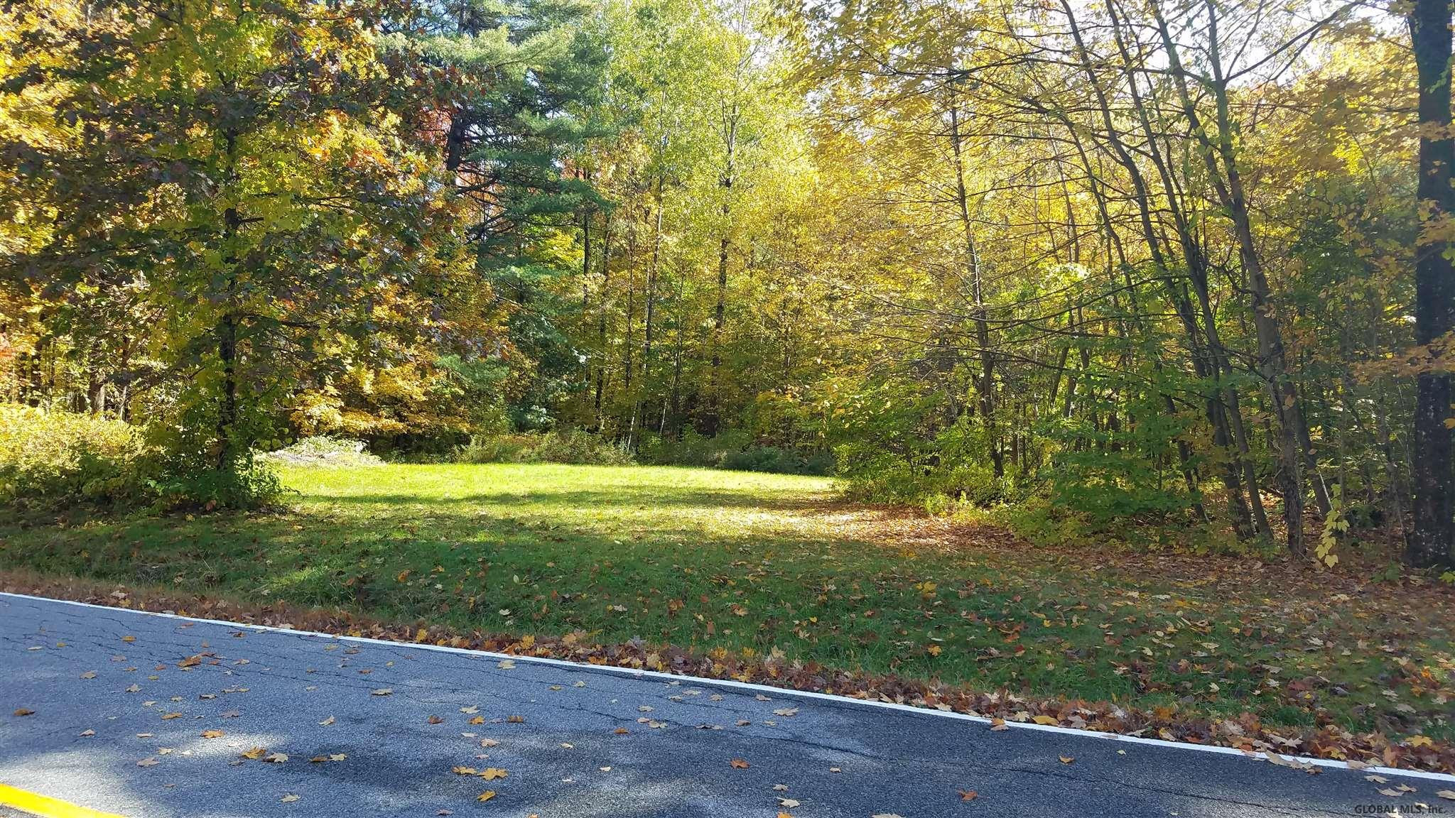 Woodard Road Wilton, NY 12831 - Photo 4 of 6 Photo 4